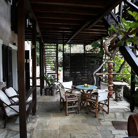 Ghermaniko Guesthouse Дамухари Экстерьер фото